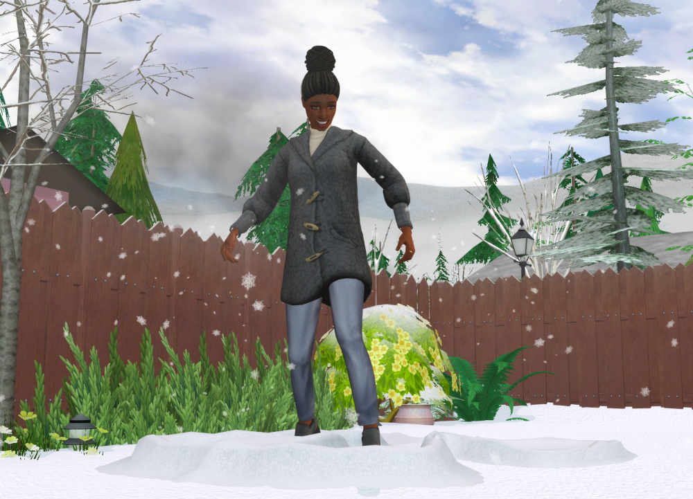 Sims2-EP9-RPC-2022-07-16-12-02-32-44