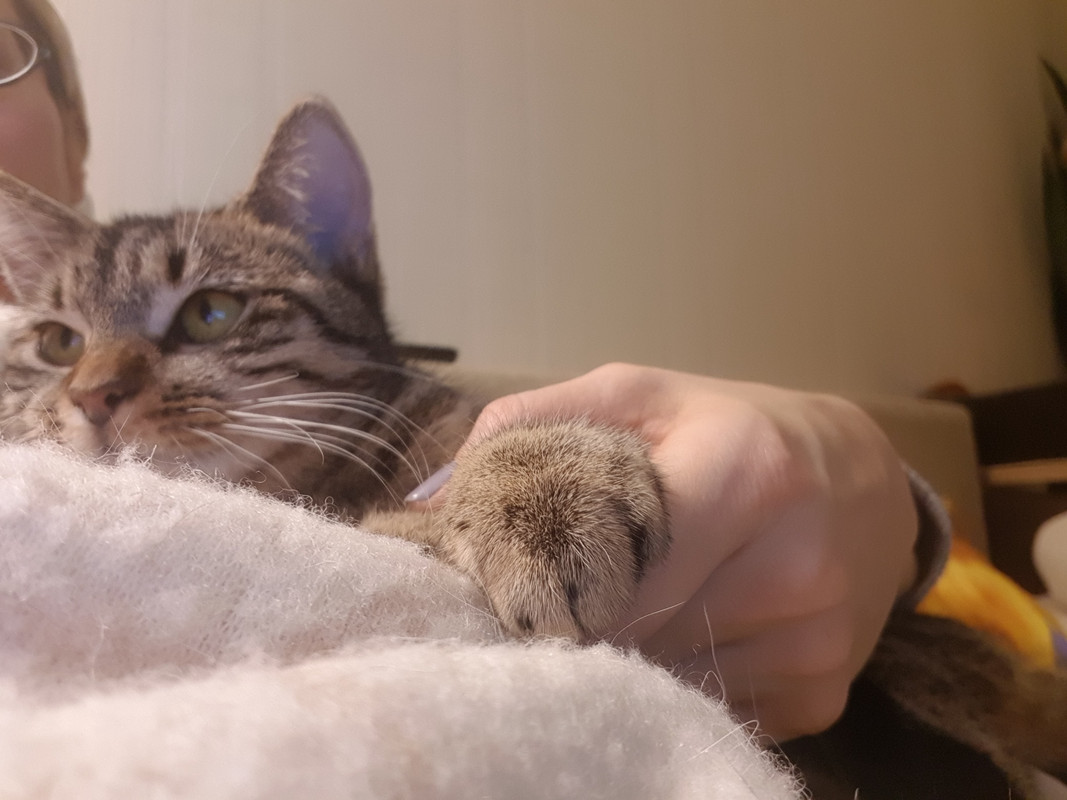 20190205-214831.jpg