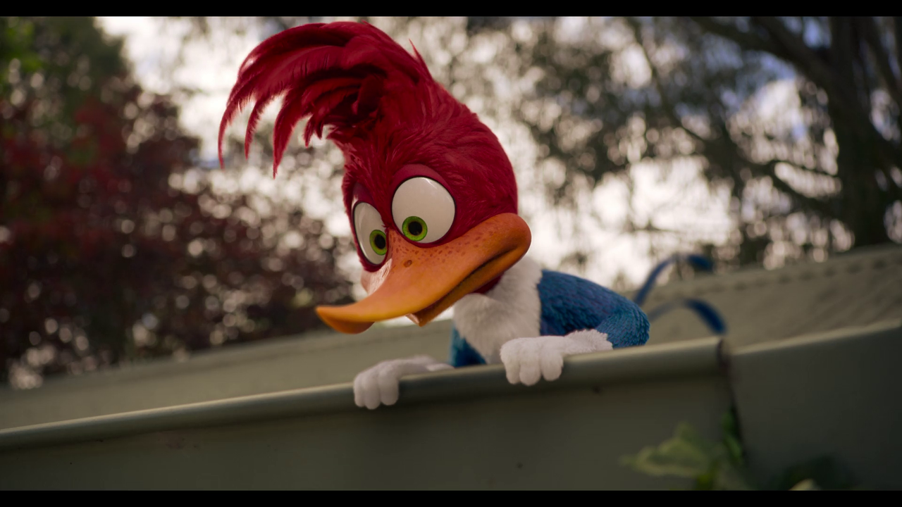 vlcsnap-2024-04-12-02h44m34s064