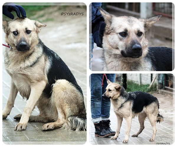 BeFunky-collage (29)