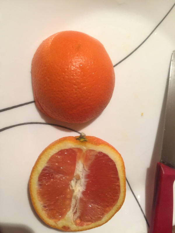 3D713A52-05CA-4EED-8AED-307E0FCF5C7E