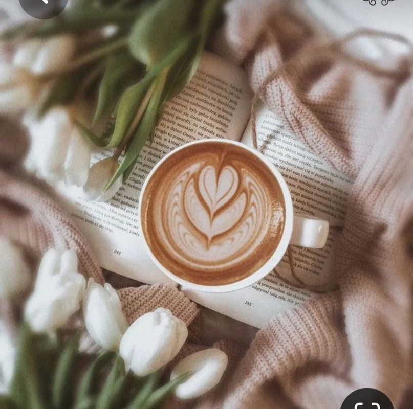 Screenshot_20230517_004757_Pinterest