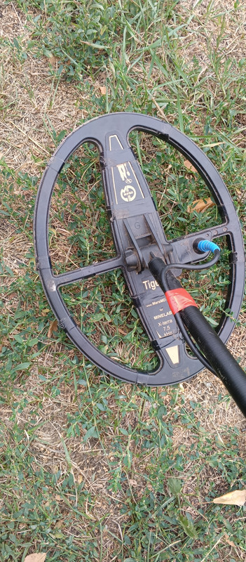 IMG_20250803_104236_259