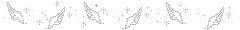 sparkling pairs of white wings divider