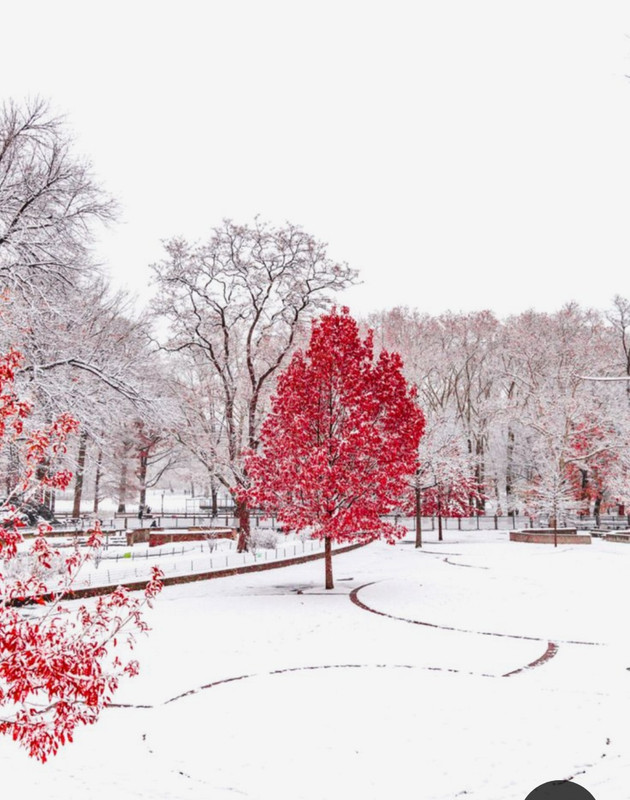 Screenshot_20240120_123447_Pinterest