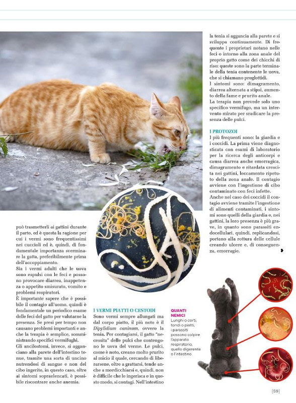 Ga Ma Giu-Lug 2025 (8)