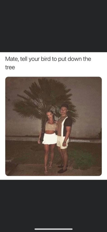 A5F7D11E-E737-47CC-848D-ECDD0F3ED1C8