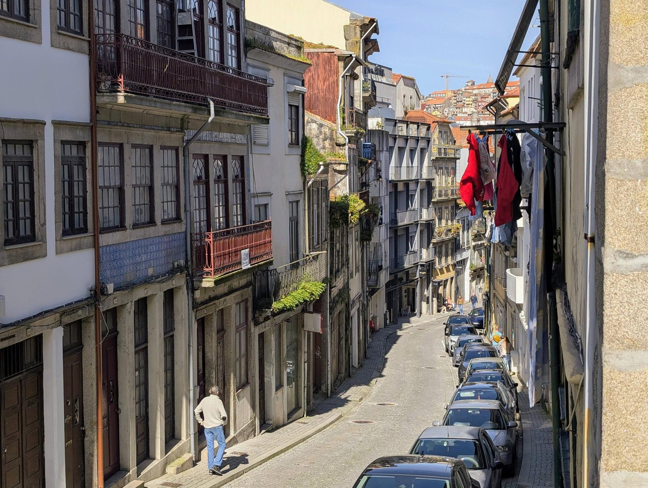 643954136 25585574661142163 7056129695958552711 n