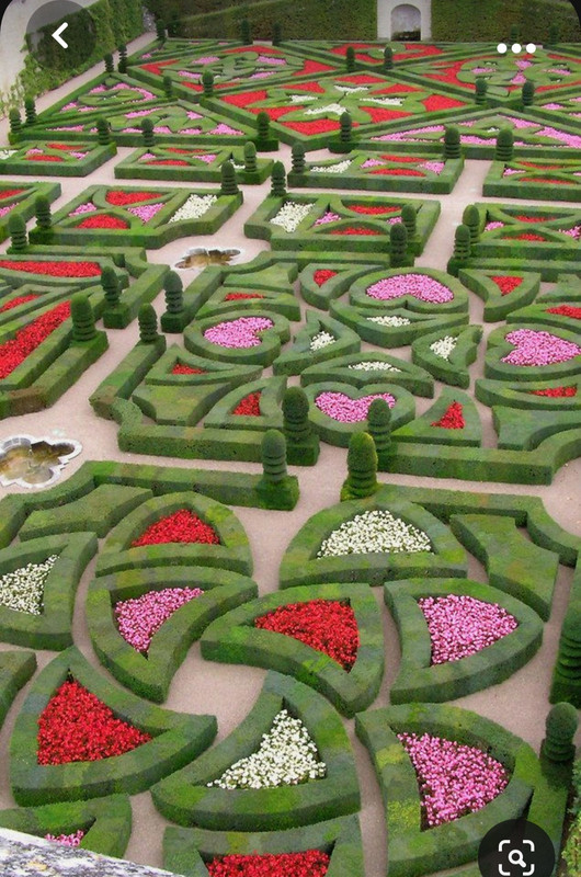 Screenshot_20231024_195042_Pinterest