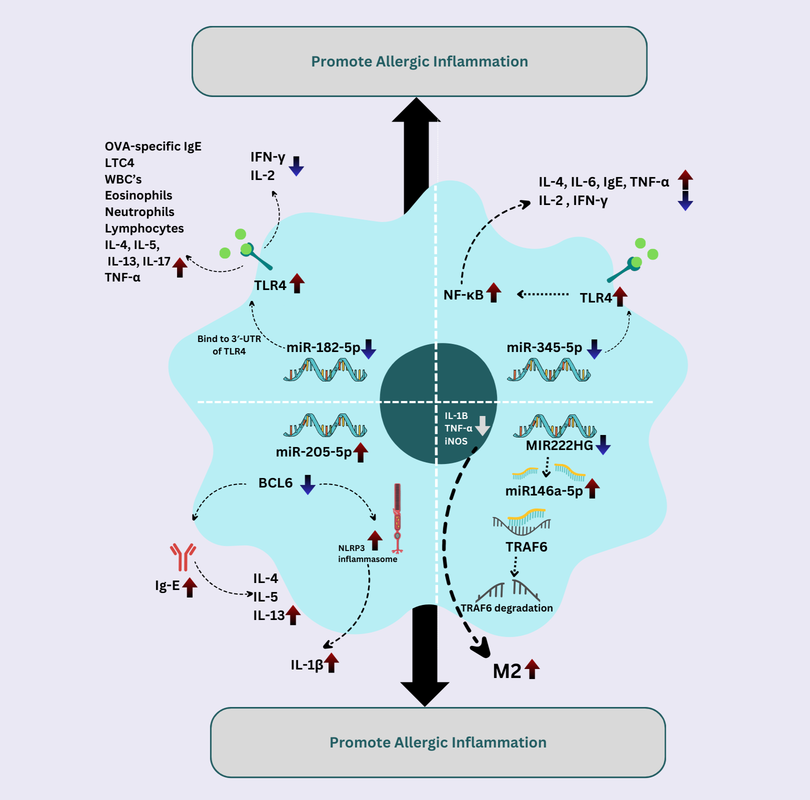 Copy of Copy of Immunology Infographic Design
