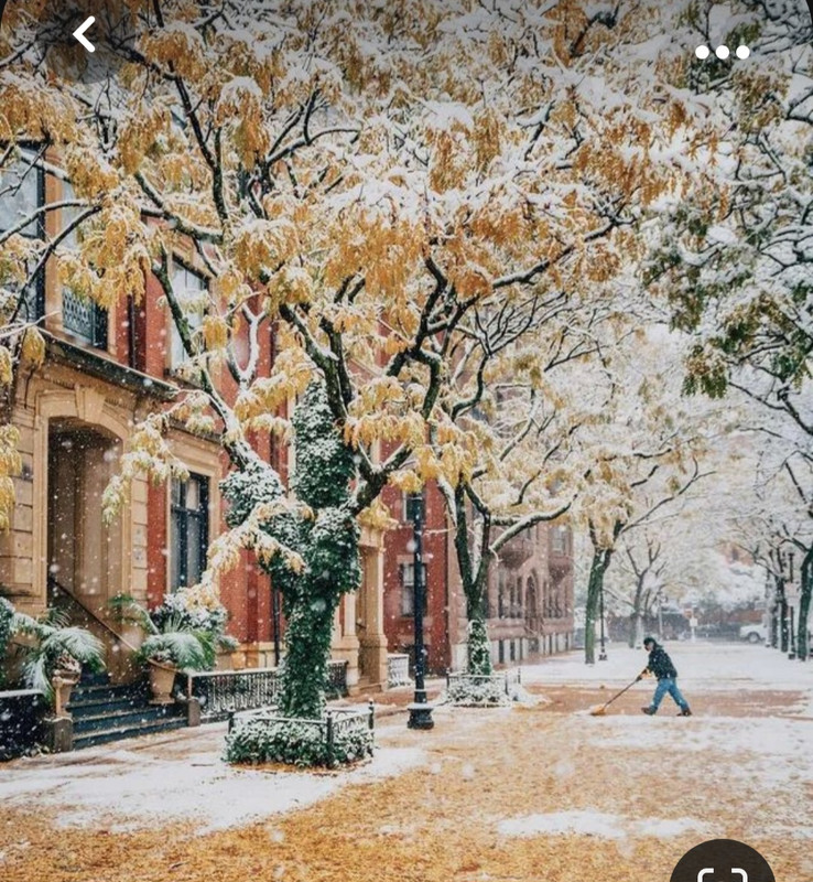 Screenshot_20231023_214648_Pinterest