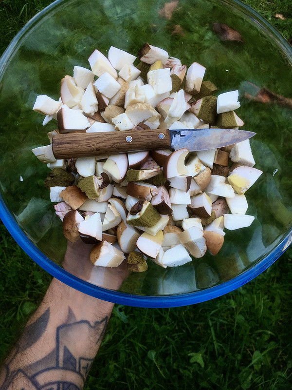 BEE38F6E-FFD4-474B-9149-D74653776236