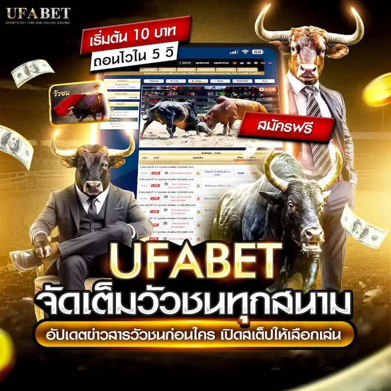 UFABET วัวชนออนไลน์