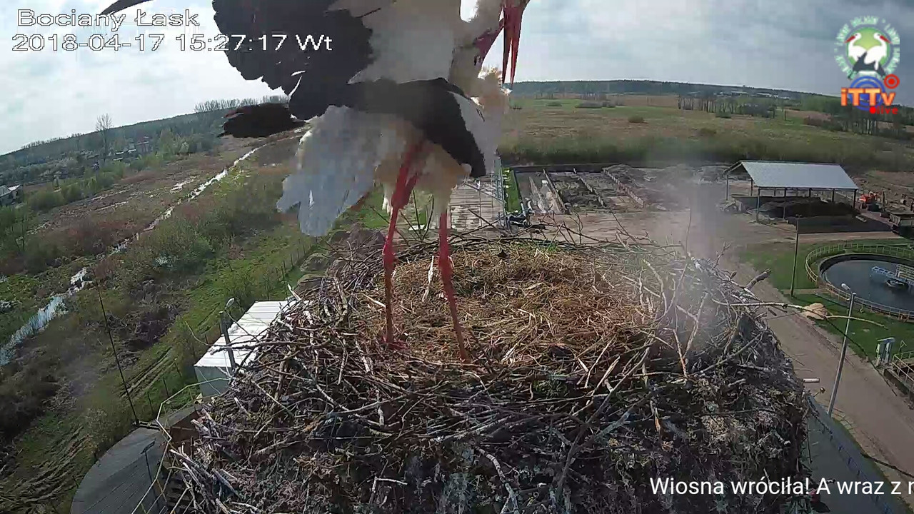 Zrzutekranu_2018-04-17-15-25-08-013