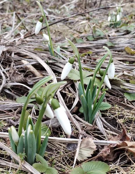 изображение viber 2026 02 26 14 39 45 402