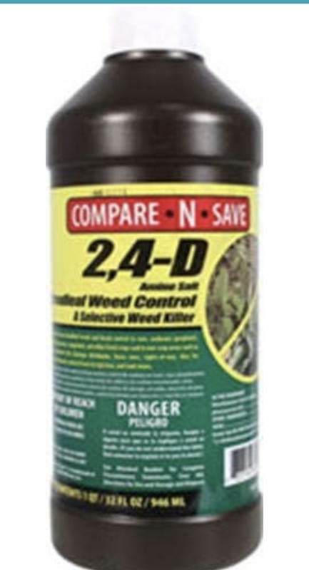 2579EDE4-ADCE-4A43-843A-D97FF5377F10