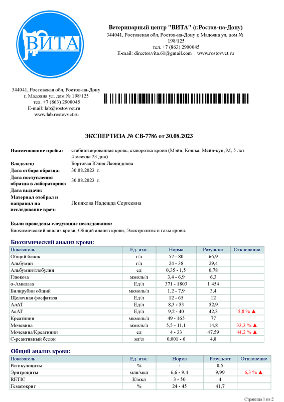 Мейн 1