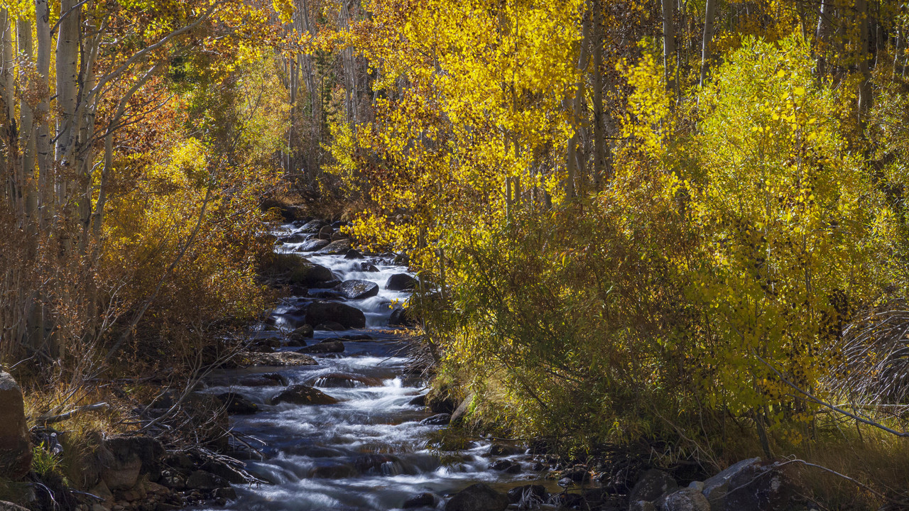 [Image: South-Lake-Creek-3-mm.jpg]