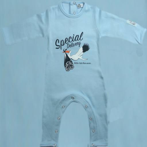 full-special-delivery-babygrow-blue
