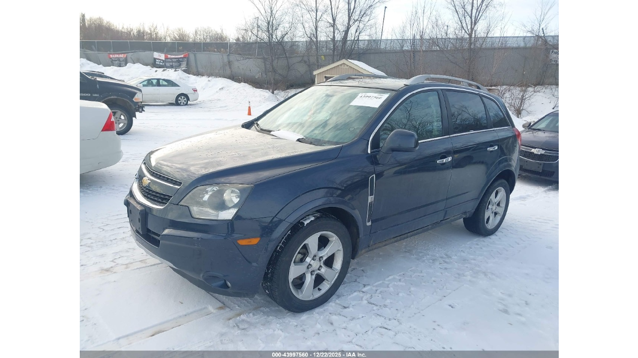 Без названия (1)