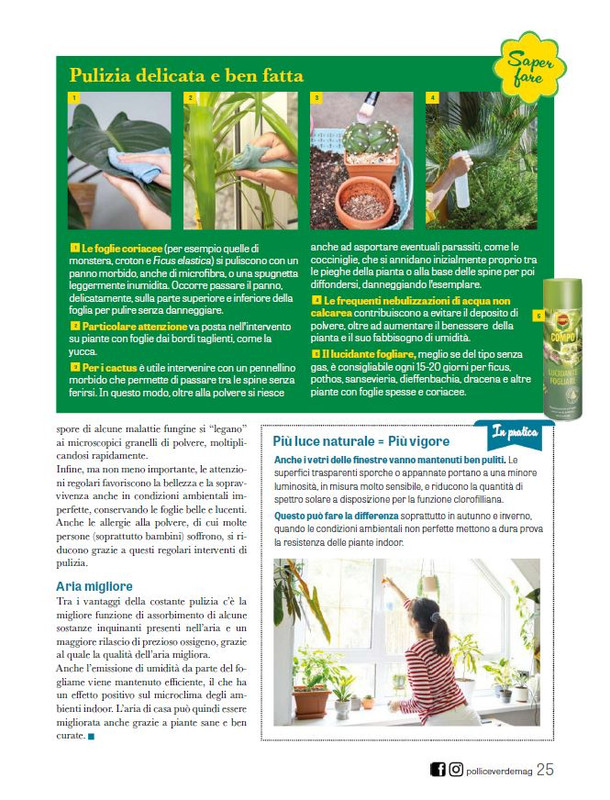 Pol Ver Set 2025 (4)