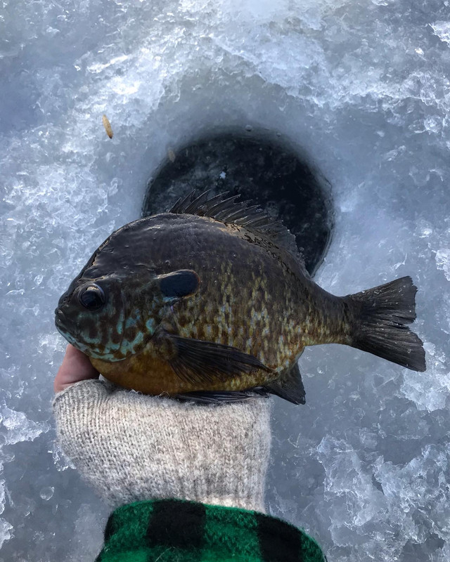 8CB9CF82-8F63-4F89-950F-93A9CFE23301