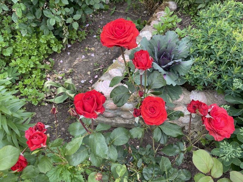 https://i.postimg.cc/kXYYcxhM/IMG-5854.jpg