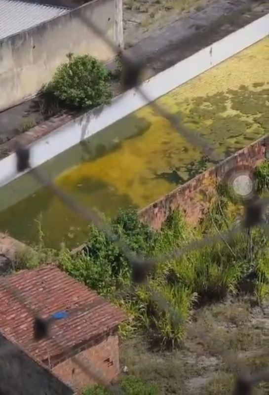 SURTO ANUNCIADO: OMISSÃO DO PODER PÚBLICO TRANSFORMA PISCINA ABANDONADA EM FOCO DE DOENÇA EM ALAGOINHAS