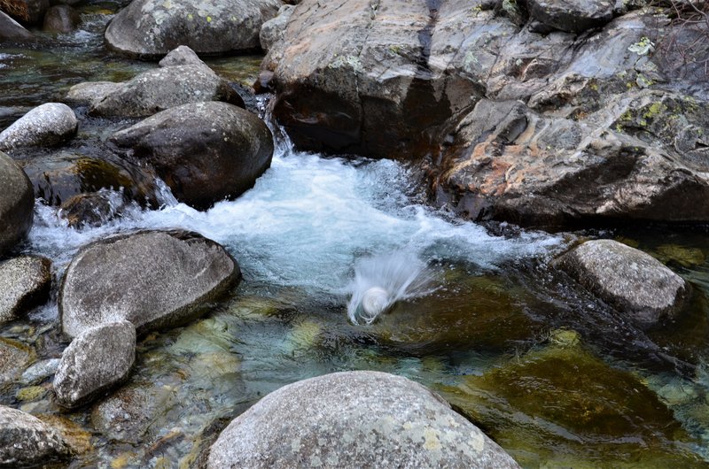 EL CHARCO VERDE-7-2-2015-AVILA - Paseando por España-1991/2016 (15)