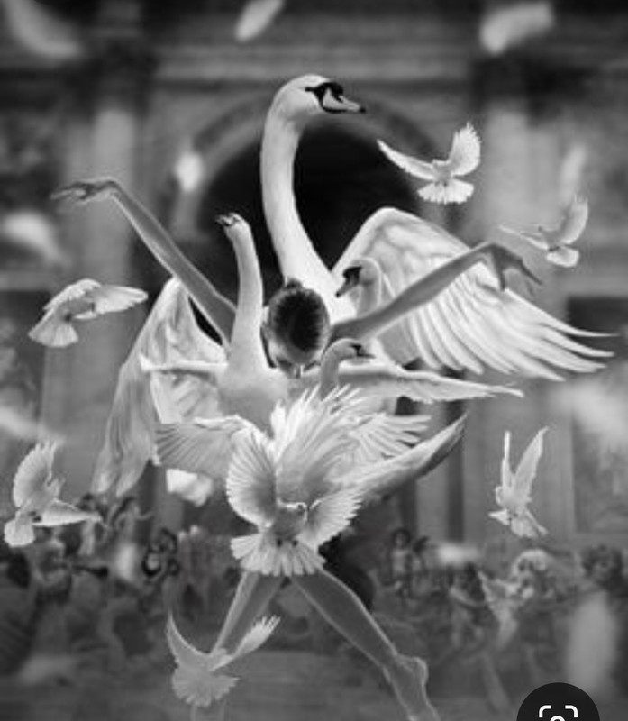 Screenshot_20231207_222827_Pinterest