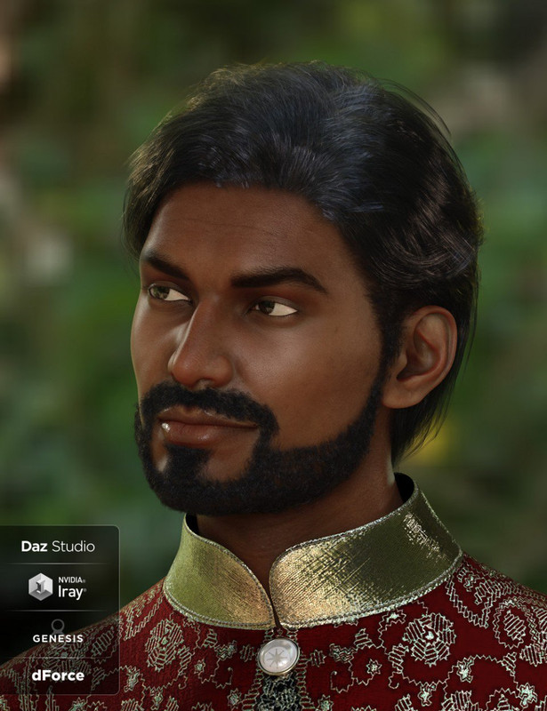 dforce Sanjay Hair and Beard for Genesis 8 Male(s)