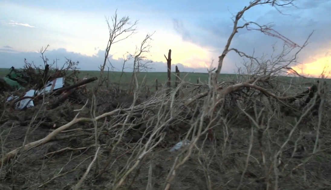 Bennington-damage-trees.jpg