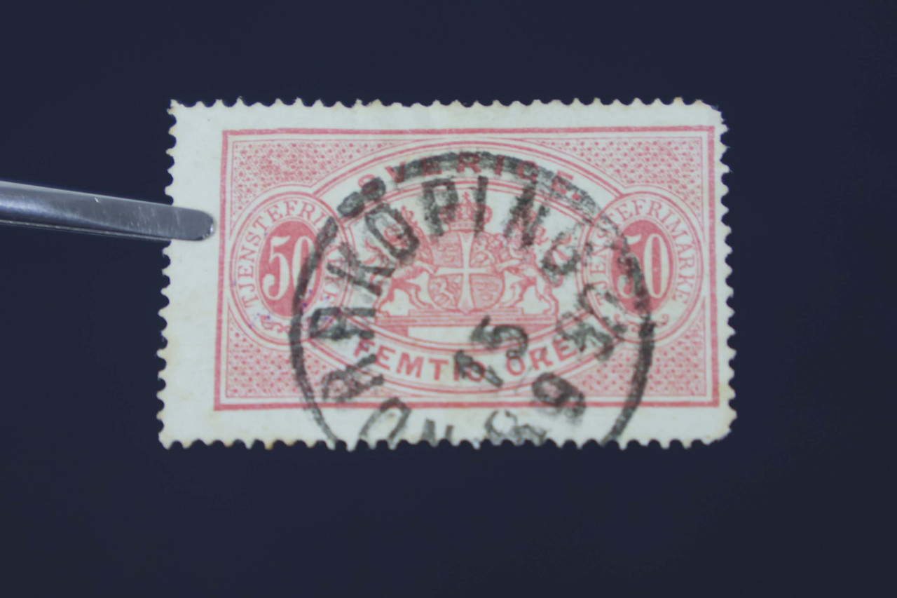 IMG 0270
