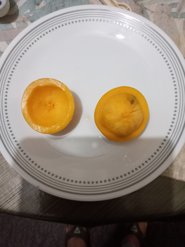 20251004_154958_mfnr