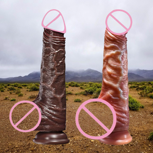 Whats App Image 2025 11 07 at 12 08 24 PM 1 removebg preview 2026 01 05T195332 457