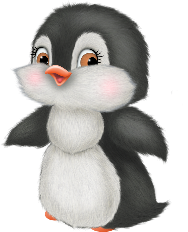 Christmas in Forest17