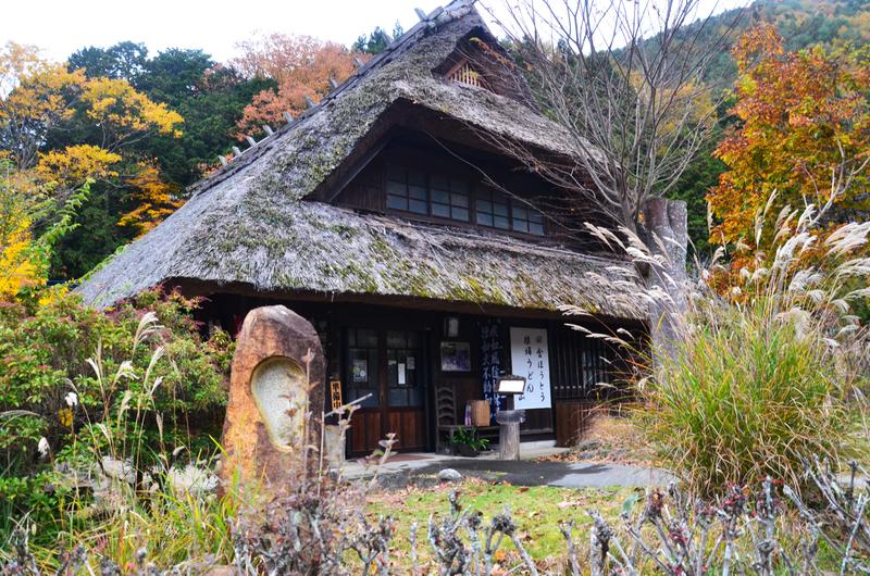 Saiko Iyashi no Sato Nenba-16-11-2024 - Japón y sus Pueblos-2024 (7)