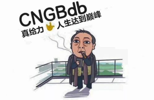 苏大强告诉你不上CNGBdb 后果很严重_9