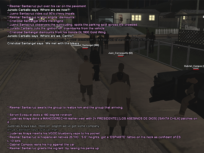 SS1.png