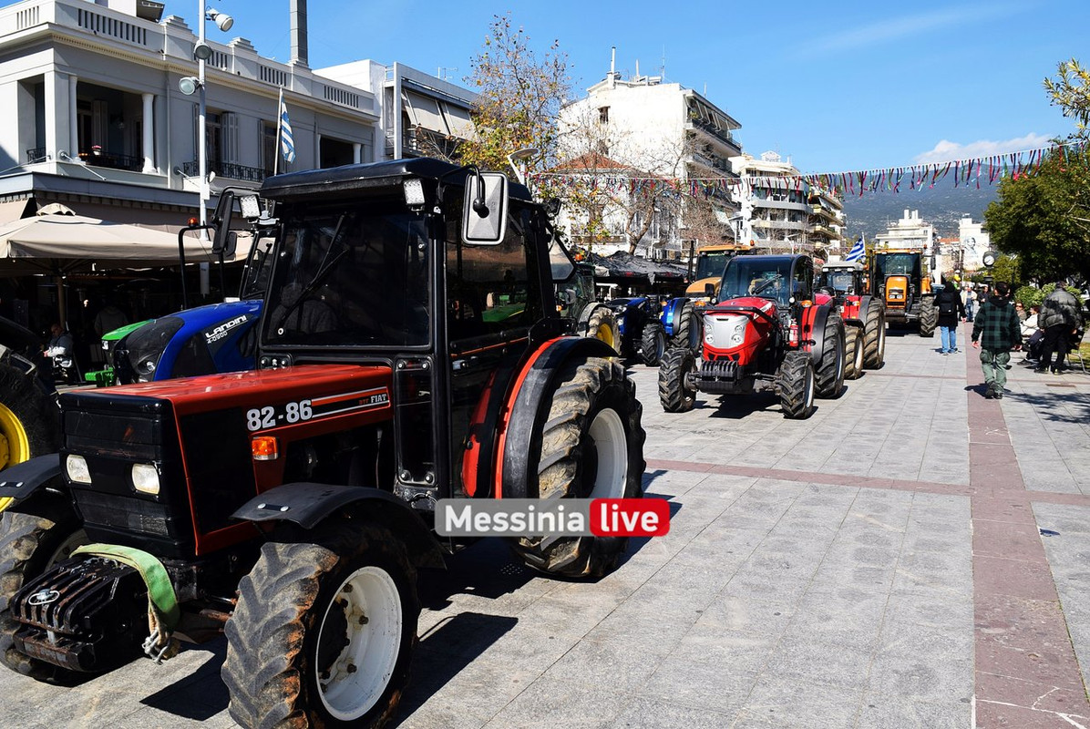 agrotes-DSC-0904