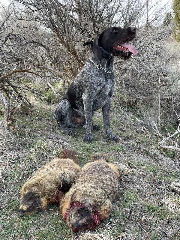 51C12EAA-0B75-483F-800A-A464F97FC6C9