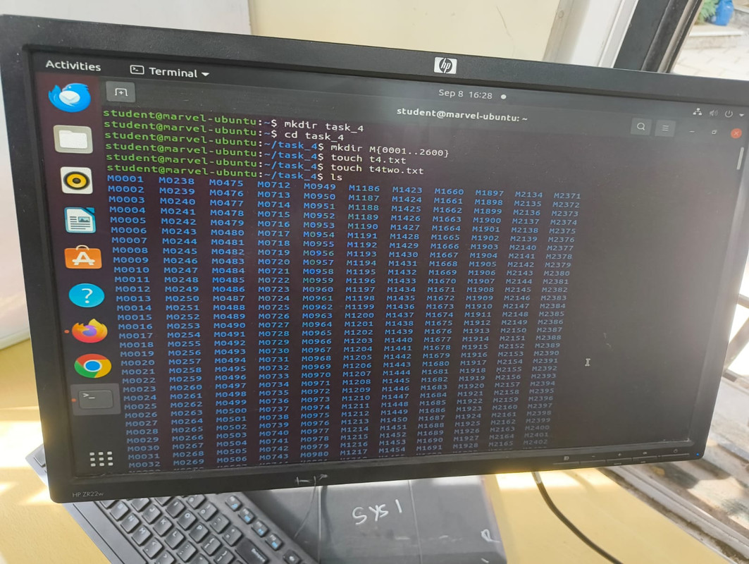 Ubuntu Terminal 1