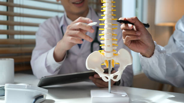 holistic chiropractic care for pain