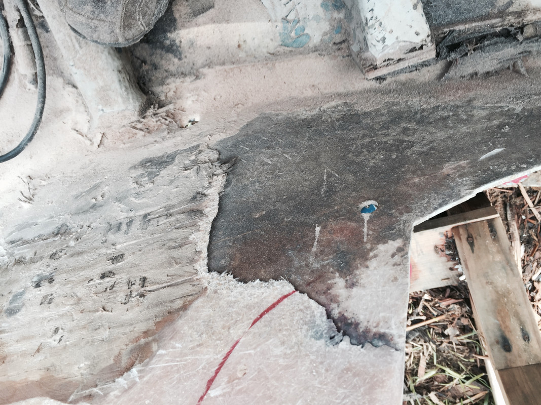 8FBDAFFD-AD9E-41C8-83C3-DA6B02F994F7