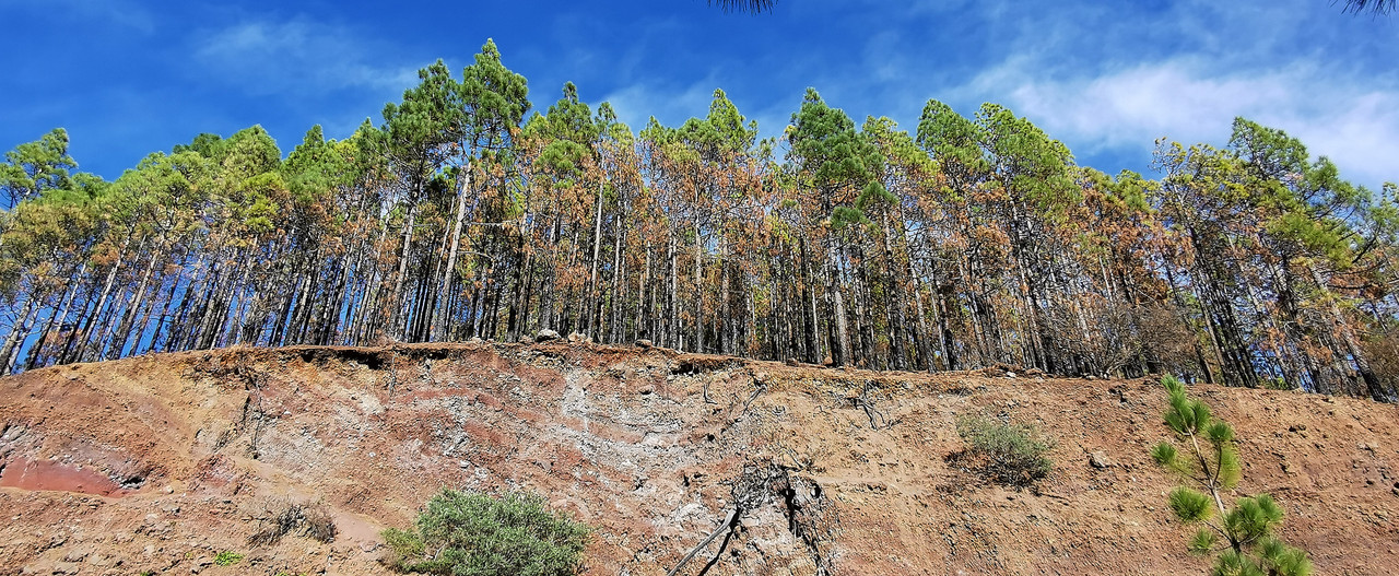 IMG_20240103_162946_edit_89527648127484