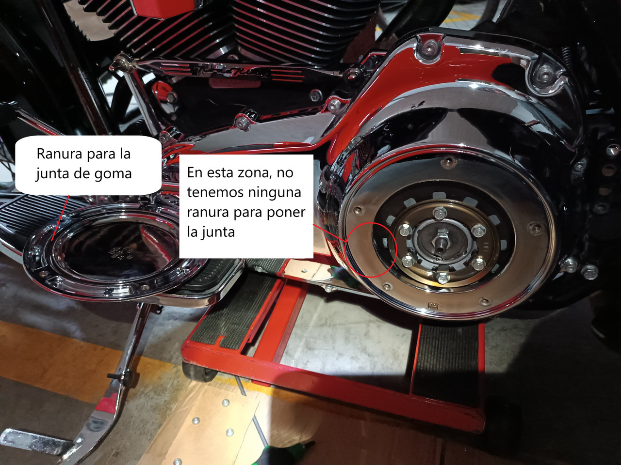 IMG-20231107-185006-copia.jpg