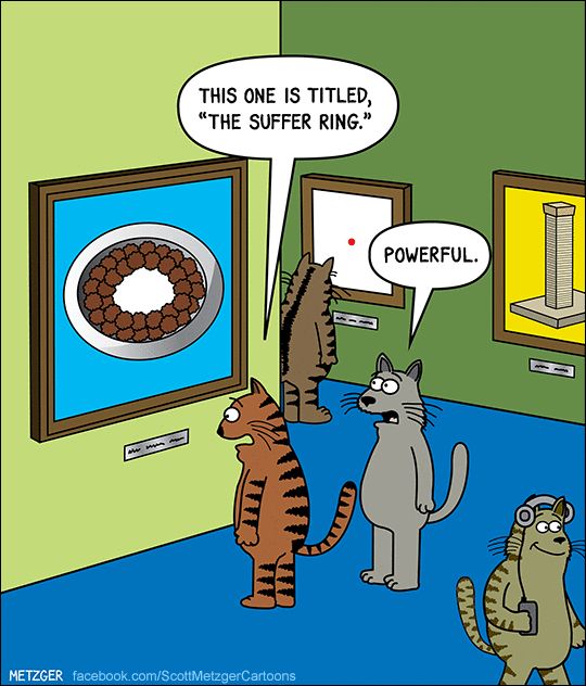 Cat Humor #8