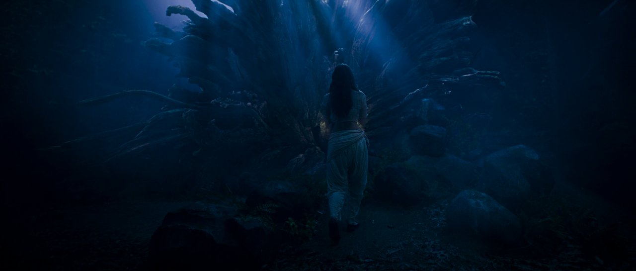 vlcsnap-2022-08-19-15h46m53s078