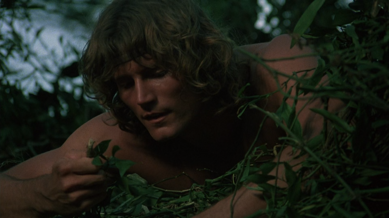Tarzan The Ape Man 1981 WEBRip SDR 10Bit 1080p DDP5.1 HEVC-3Li.mkv_snapshot_01.14.25.044
