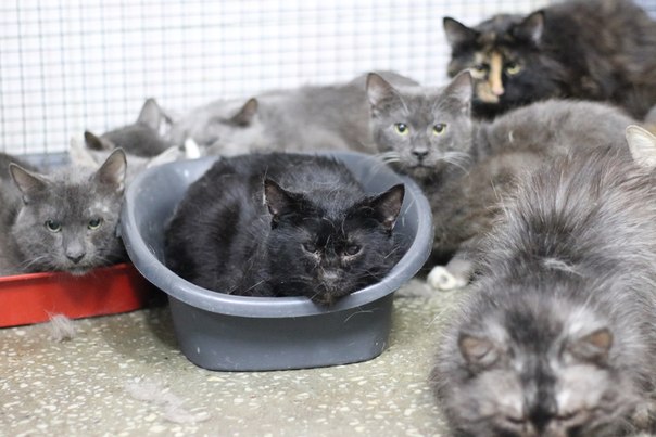 DF009DAA-BB25-467E-9FD6-CA47EF092172